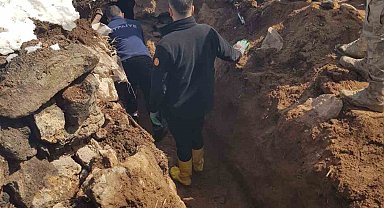 Ağrı'da hayvanlar çöken çatının altında kaldı