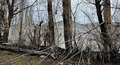 Ağrı'da kar fırtınası etkili oldu