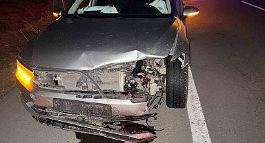 AK Parti Ardahan İl Başkanı'nın aracı domuz sürüsüne çarptı