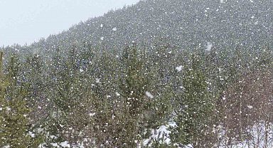Ardahan'ın yüksek kesimlerinde kar yağışı etkili oldu