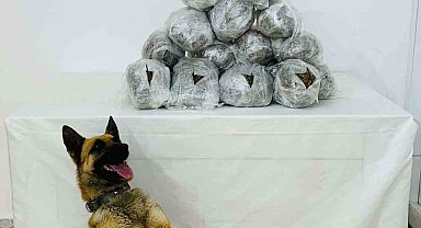 Bingöl'de 8 kilo uyuşturucu ele geçirildi