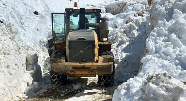 Bitlis'te bütün köy yolları açıldı