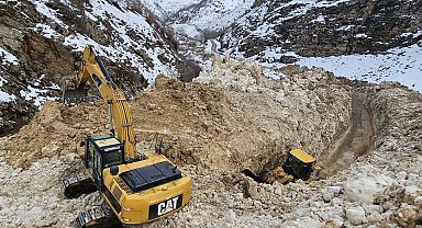 Çatak'ta çığlar düşmeye devam ediyor