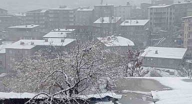 Hakkari'de lapa lapa kar yağışı