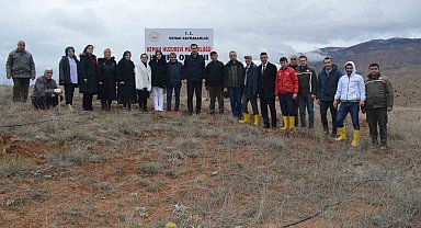 Kemah'ta fidan dikim etkinliği düzenlendi