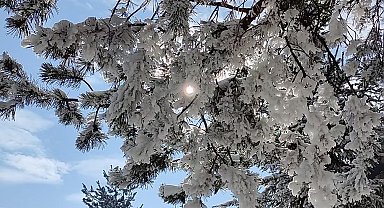 Mart ayında dondurucu soğuklar: Göle eksi 15