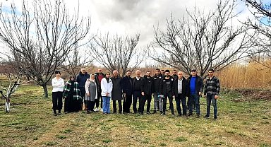 Meyve ağaçlarında uygulamalı budama eğitimi