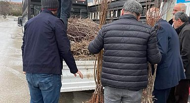 Muhtar adayı broşüryerine fidan dağıttı