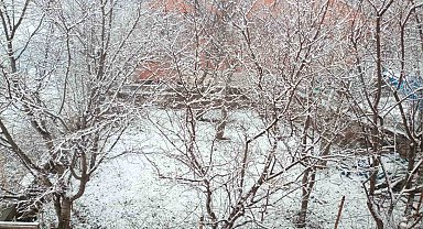 Posof'ta kar yağışı etkili oldu