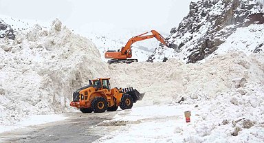 Prof. Dr. Alaeddinoğlu: "Van'daki çığların temel nedeni sulu kar"