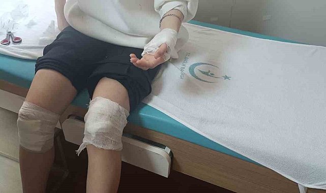 Kovancılar'da Sokak köpeklerinin saldırısına uğrayan 17 yaşındaki kız yaralandı