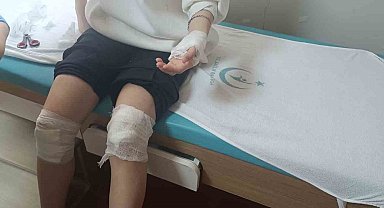 Kovancılar'da Sokak köpeklerinin saldırısına uğrayan 17 yaşındaki kız yaralandı