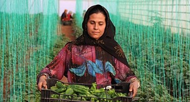 Tarımsal girdi enflasyonu ocakta yüzde 45,11 oldu