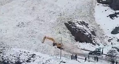 Van-Bahçesaray yoluna çığ düştü