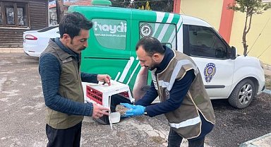 Yaralı halde bulunan yaralı baykuş yavrusu tedavi altına alındı