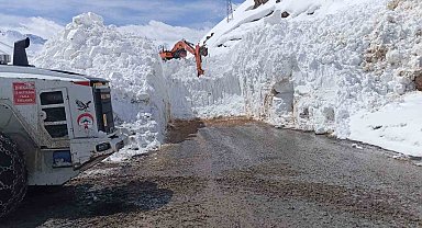 Yüksekova-Dağlıca kara yoluna çığ düştü