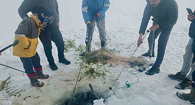 Yüzeyi buz tutan Balık Gölü'nde, buzu kırıp balık tuttular