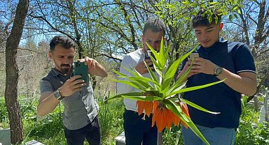 'Hüzün Çiçeği'ni koparanlara 244 bin 315 TL ceza