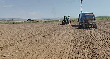 Adilcevaz'da şeker pancarı ekimine başlandı