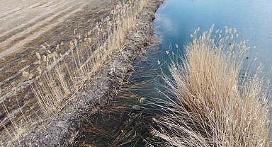 Ağrı Dağı Milli Parkı'nda canlıların yaşam alanı yok ediliyor