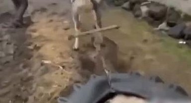 Ata eziyet eden kişilere ceza kesildi