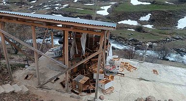 Ayılar arıcılara ait malzemeleri kullanılamaz hale getirdi