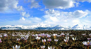 Baharın müjdecisi kar çiçekler açtı