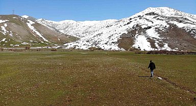 Baharın müjdecisi kardelenlerden görsel şölen