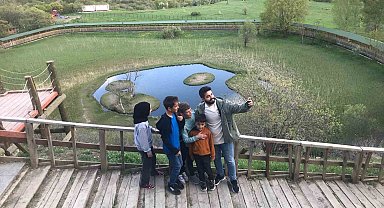 Bingöl'de Yüzen Adalar Yeşile Büründü 