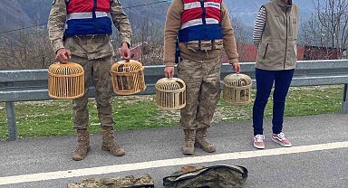 Bitlis'te keklik avcılarına 34 bin lira para cezası