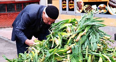 Dağlarda çiriş otu bereketi