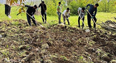 Derecik'te köylülerin imece usulü bağ çapalama mesaisi