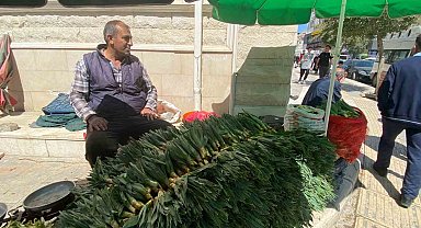 Elazığ'da çiriş otu tezgahlarda yerini aldı