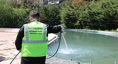 Elazığ'da larva ile mücadele çalışmaları sürüyor