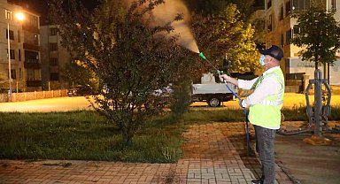 Elazığ'da yeşil alanlar ilaçlanıyor