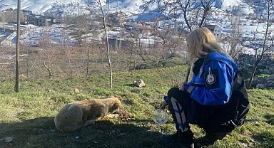 Emniyet personeli can dostları besledi