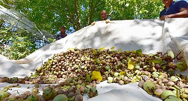 Erzincan Tarım Müdürlüğü üreticileri bilgilendiriyor