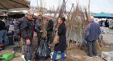 Erzincan'da meyve fidanı satışı başladı