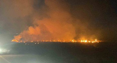 Erzincan'da örtü yangını itfaiyenin müdahalesiyle söndürüldü