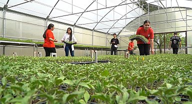 Erzincan'da tarım bölümü öğrencileri hem öğreniyor, hem üretiyor