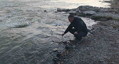 Fizyolojik uyum süreçlerini tamamlayan Van Gölü'nün incilerinin zorlu yolculuğu başladı