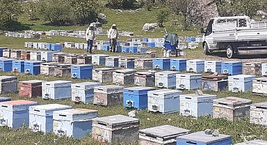 Hakkari'de bal üretim sezonu başladı