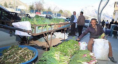 Hakkari'de şifalı bitkilere büyük ilgi