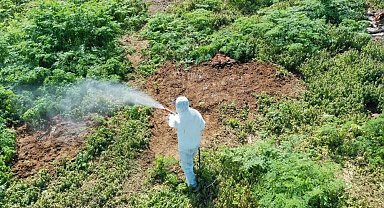 Hava sıcaklığı artarken çıkan haşerelere karşı uzmanı uyardı