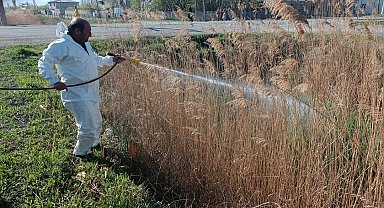 Iğdır belediyesinden sivrisinek ve haşerelere karşı ilaçlama