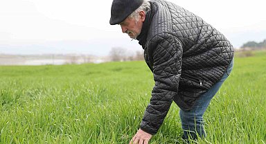 İlkbahar yağışları çiftçilerin yüzünü güldürdü