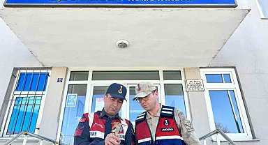 Jandarma yaban kuşlarına sahip çıktı