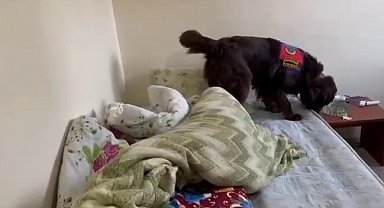 Jandarmadan uyuşturucu operasyonu