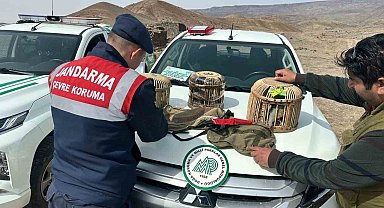 Kars'ta yasadışı avlanan 2 kişi suçüstü yakalandı