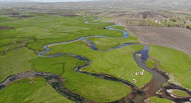 Kars'taki mendereslerde bahar güzelliği
